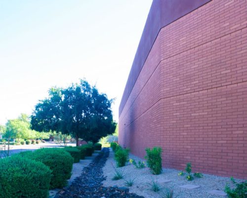 A large brick wall extending to the right with a neatly landscaped garden bed featuring small shrubs and a single tree on the left.