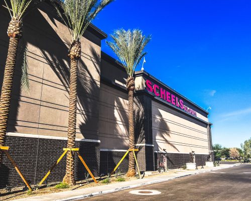 Exterior view of a scheels sporting goods store on a sunny day with clear blue skies, flanked by palm trees.